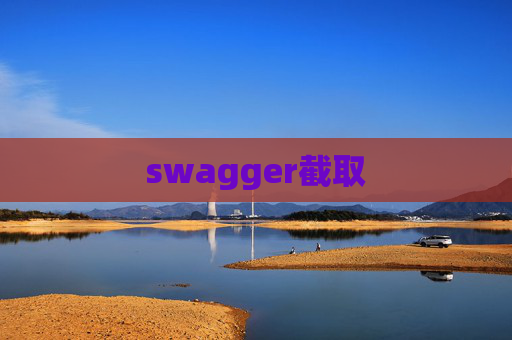 swagger截取